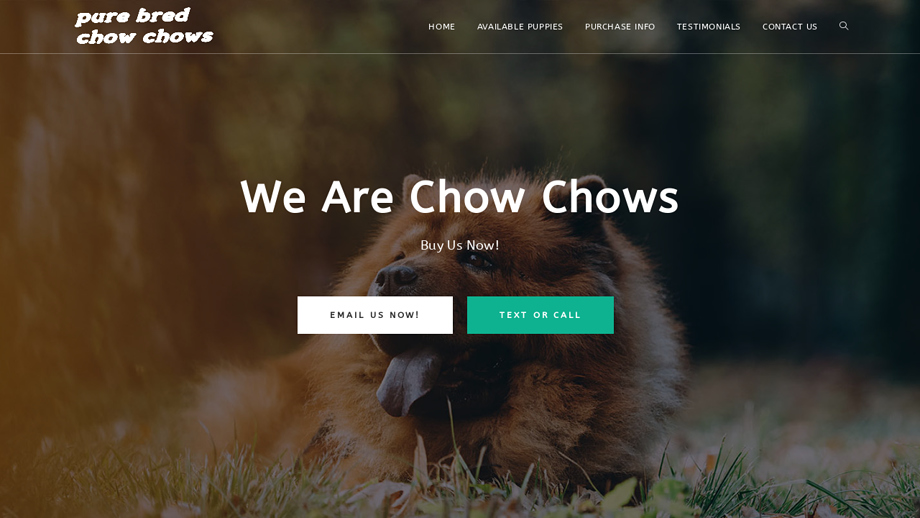 Purebredchowchows.com - Chowchow Puppy Scam Review