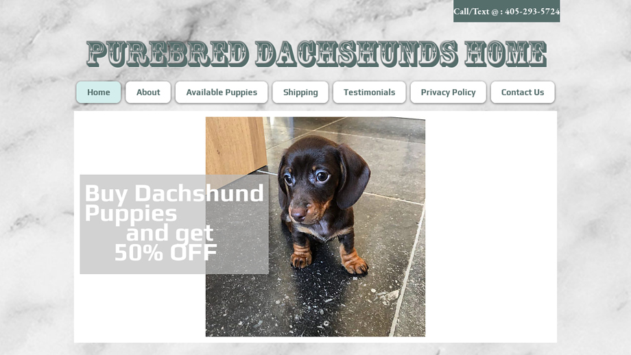 Purebreddachshundshome5.net - Dachshund Puppy Scam Review