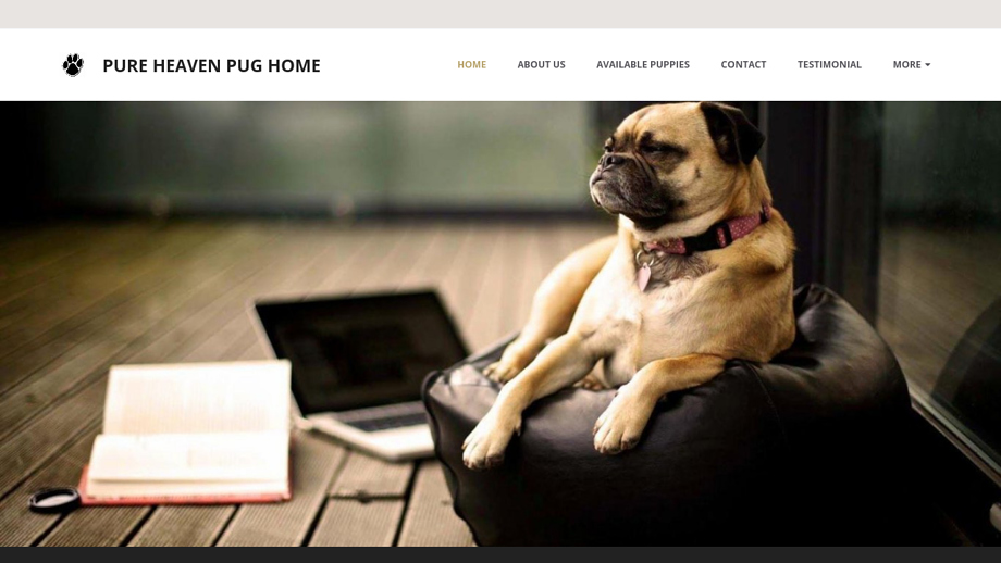 Pureheavenpughome.com - Pug Puppy Scam Review