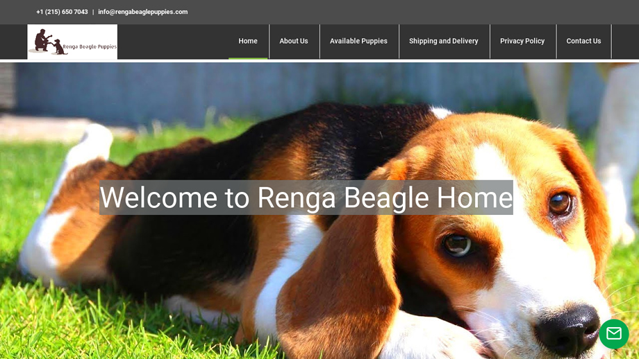 Rengabeaglepuppies.com - Beagle Puppy Scam Review