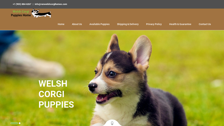 Renwelshcorgihomes.com - Corgi Puppy Scam Review