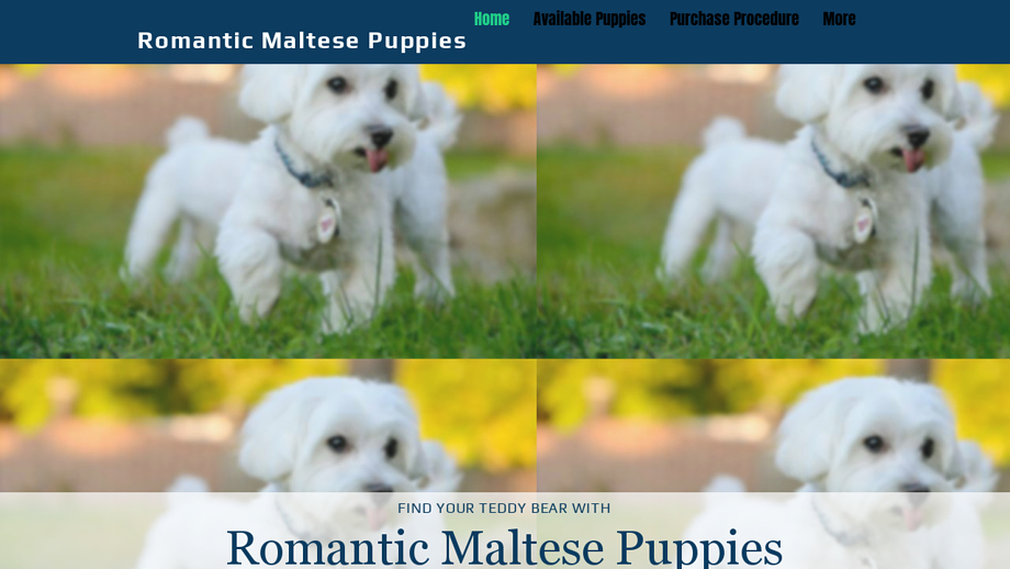 Romanticmaltese.us - Maltese Puppy Scam Review