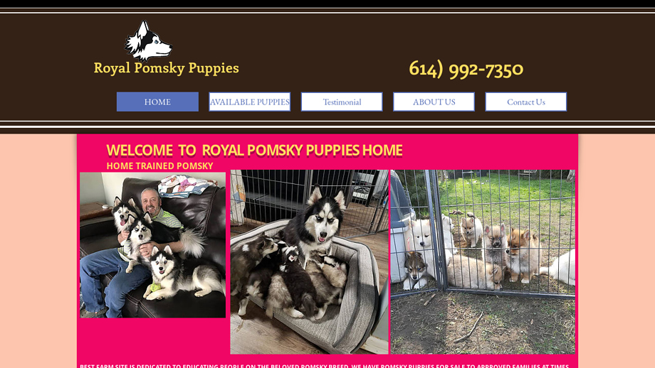 Royalpomskypuppies.com - Pomeranian Puppy Scam Review