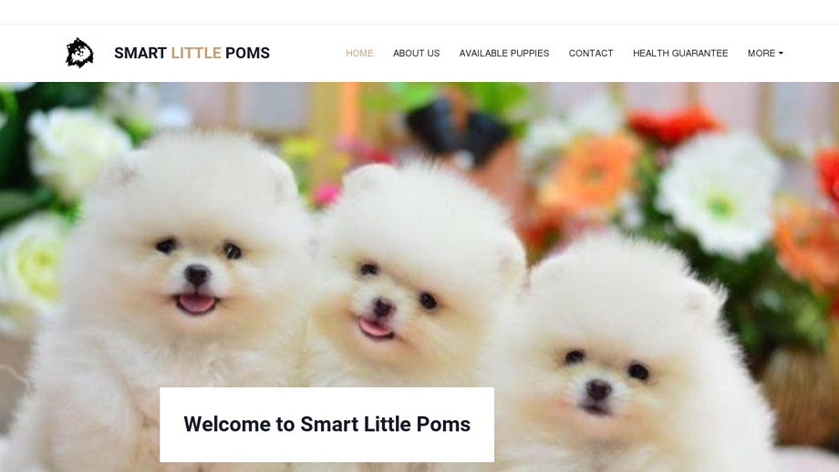 Smartlittlepoms.com - Pomeranian Puppy Scam Review