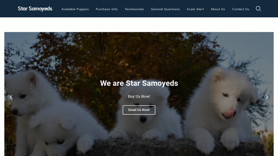 Starsamoyeds.com - Samoyed Puppy Scam Review