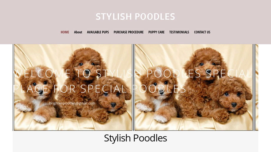 Stylishpoosdles.us - Poodle Puppy Scam Review
