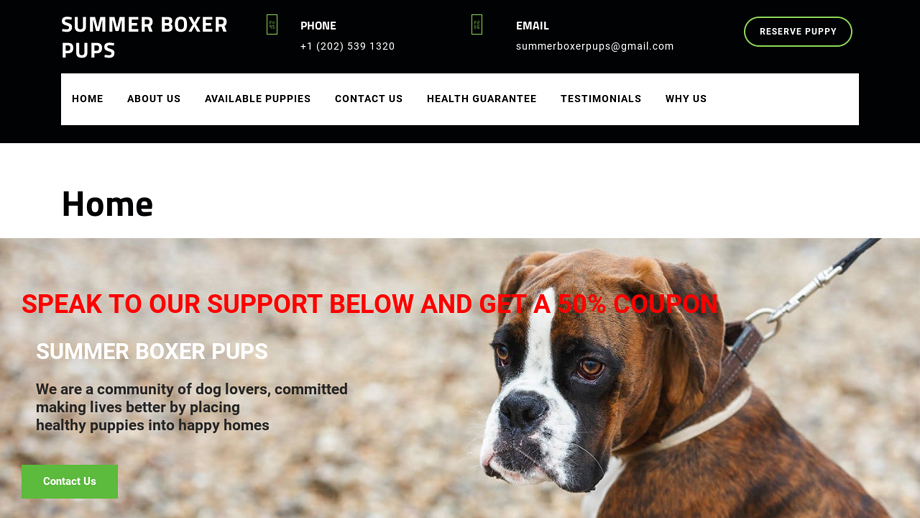 Summerboxerpups.com - Boxer Puppy Scam Review