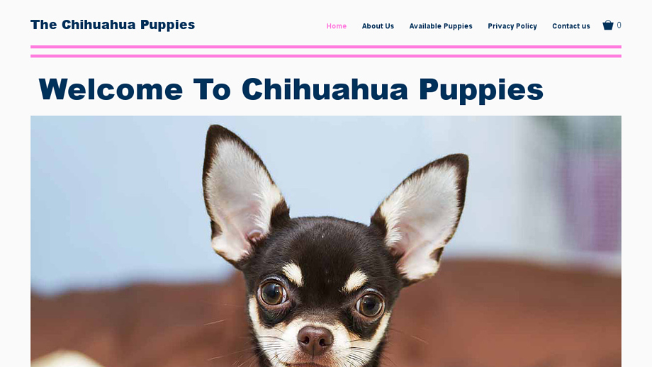 Teacupchihuahuahome.com - Chihuahua Puppy Scam Review
