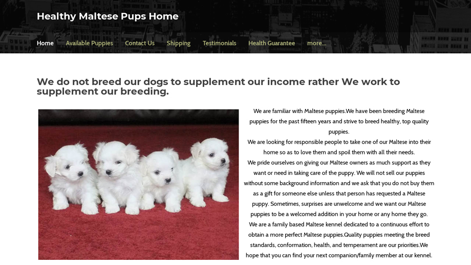 Teacupmaltesepupsales.net - Maltese Puppy Scam Review