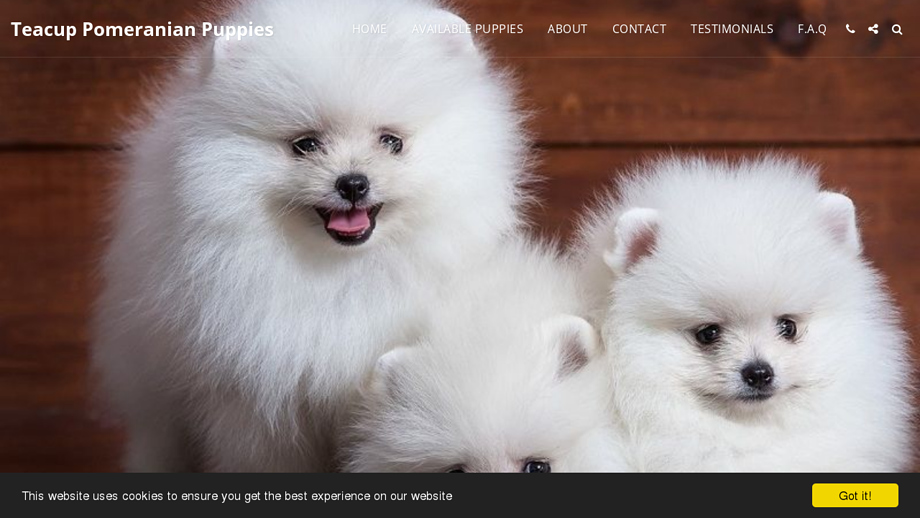 Teacuppomeranianpuppies.com - Pomeranian Puppy Scam Review