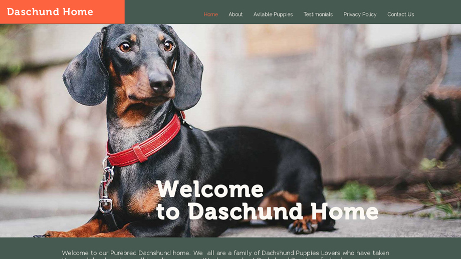 Thedachshundhome.com - Dachshund Puppy Scam Review