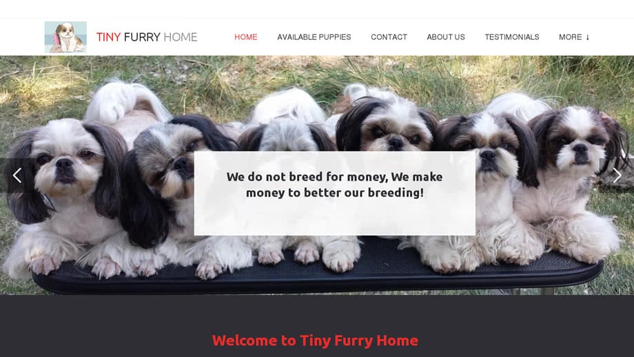 Tinyfurryhome.com - Shihtzu Puppy Scam Review