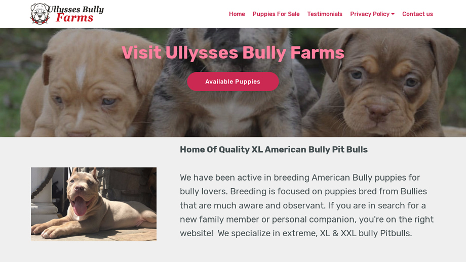 Ullyssesbullyfarms.com - Pit Bull Puppy Scam Review