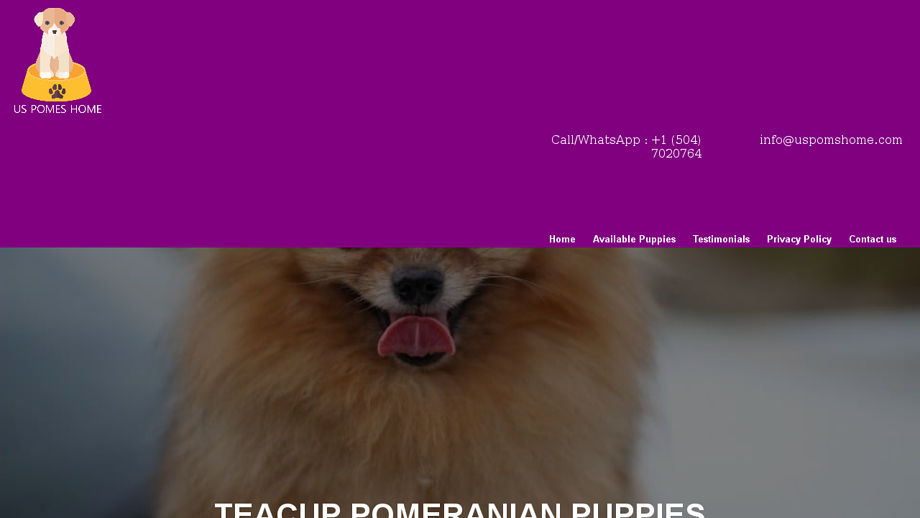 Uspomshome.com - Pomeranian Puppy Scam Review