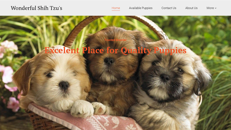 Wshihtzupuppieshome.com - Shihtzu Puppy Scam Review