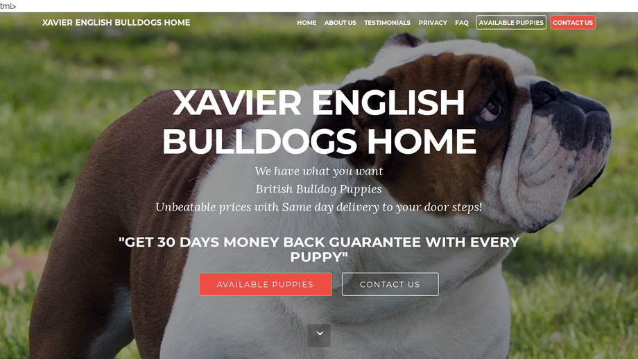 Xavierenglishbulldogshome.com - English Bulldog Puppy Scam Review