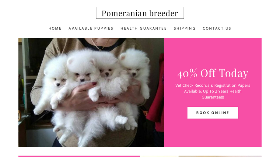 Akcpomeranianbreeder.club - Pomeranian Puppy Scam Review