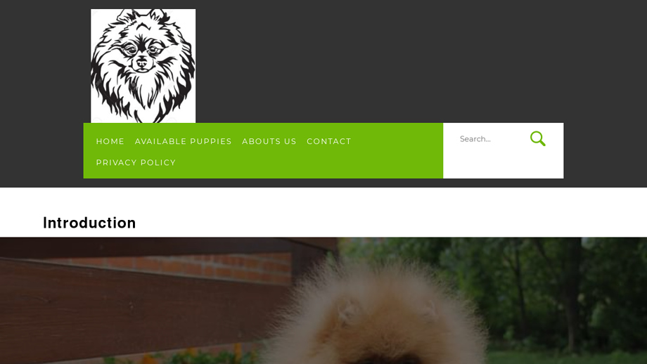 Beautypompups.com - Pomeranian Puppy Scam Review