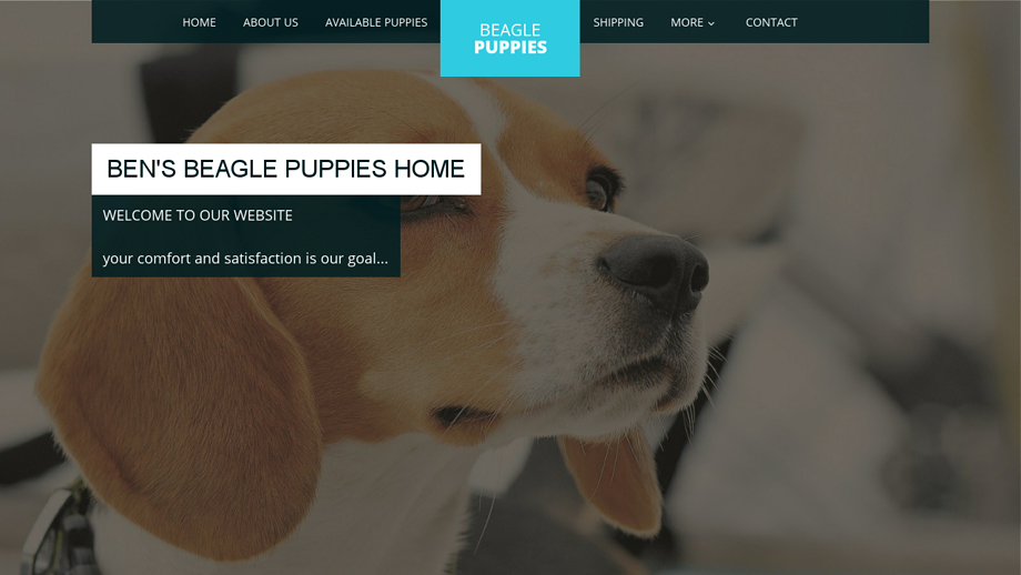 Bensbeaglehome.com - Beagle Puppy Scam Review