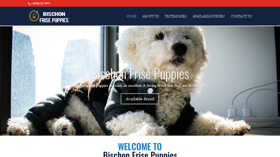 Bischonfrisepuppies.com - Bichon Frise Puppy Scam Review