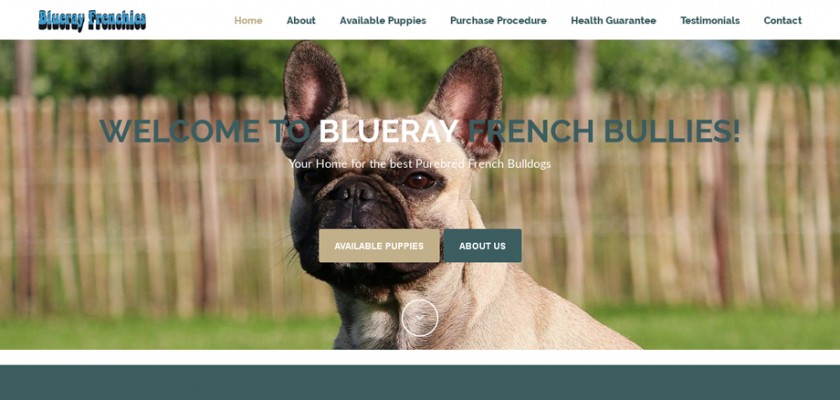 Bluerayfrenchbullies.com - French Bulldog Puppy Scam Review