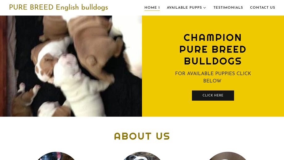 Bulldogplaymates.com - Bulldog Puppy Scam Review