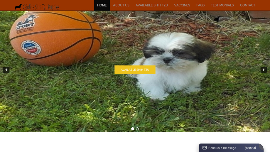 Cajolineshihtzupuppies.com - Shihtzu Puppy Scam Review