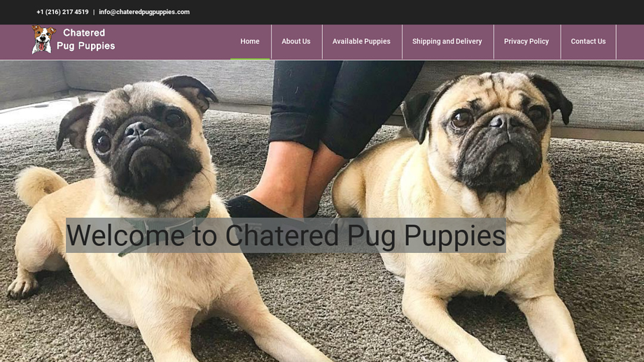 Chateredpugpuppies.com - Pug Puppy Scam Review