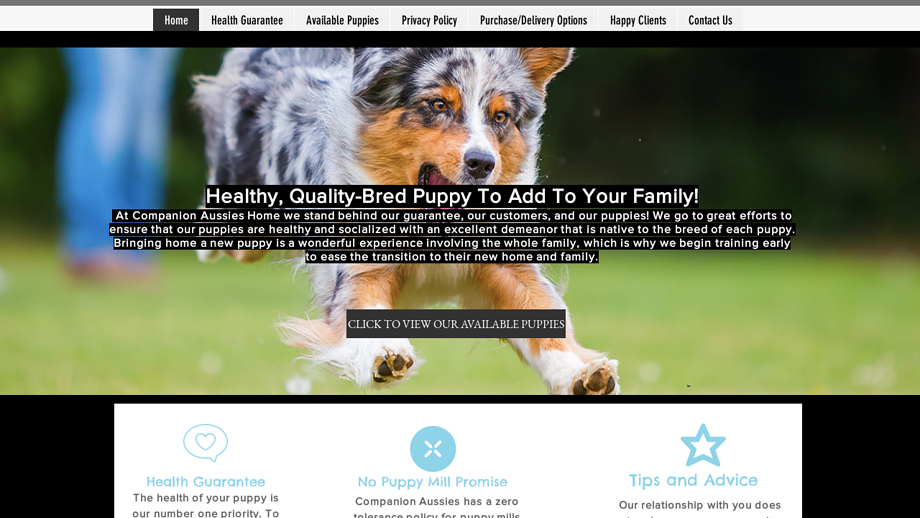 Companionaussiepups.com - Australian Shepherd Puppy Scam Review