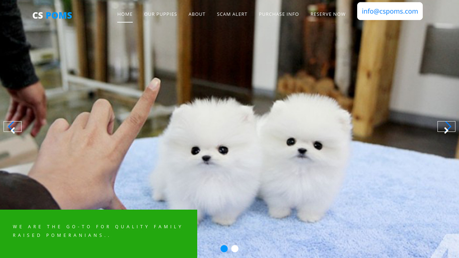 Cspoms.com - Pomeranian Puppy Scam Review