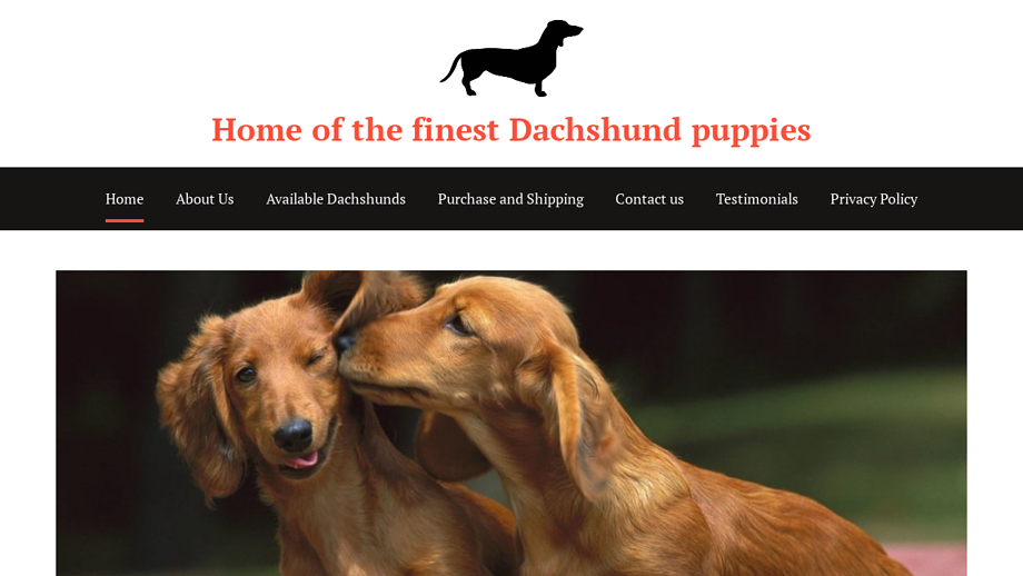 Cutedachshundshome.com - Dachshund Puppy Scam Review