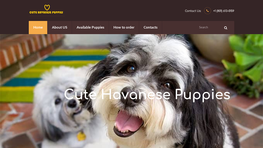 Cutehavanesepuppies.com - Havanese Puppy Scam Review