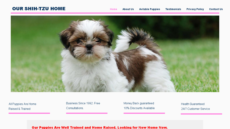 Cutehomepuppies.com - Shihtzu Puppy Scam Review