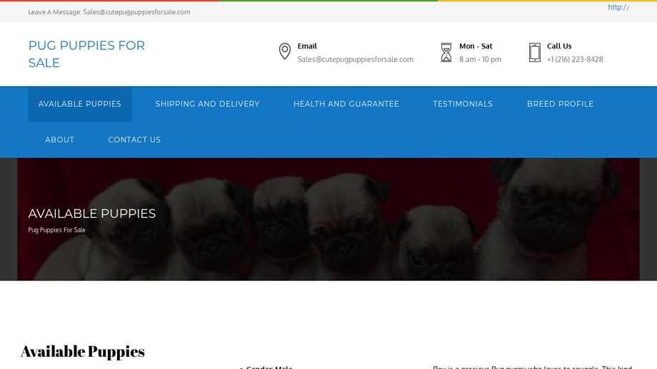 Cutepugpuppiesforsale.com - Pug Puppy Scam Review