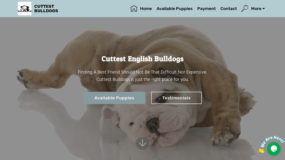 Cuttestbulldogs.com - Bulldog Puppy Scam Review