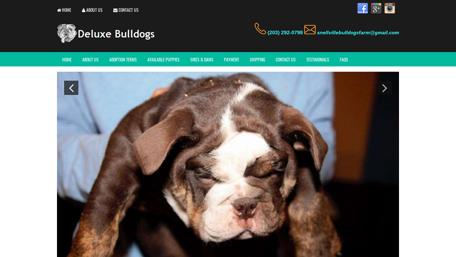 Deluxebulldogshome.com - English Bulldog Puppy Scam Review