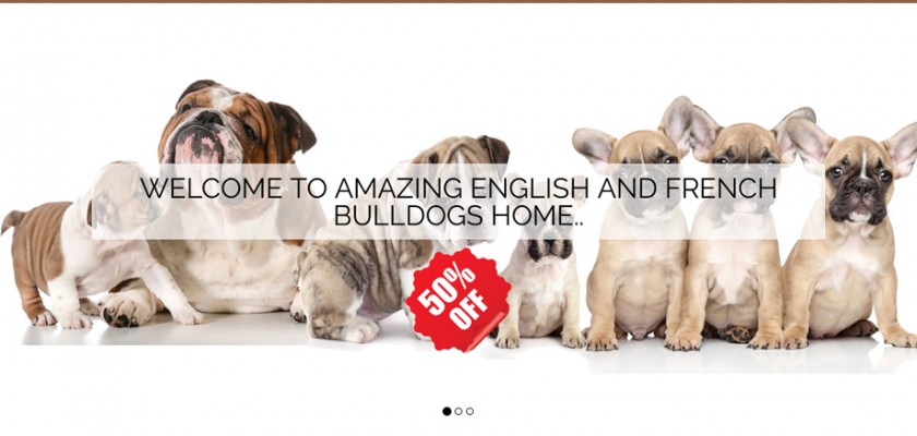 Englishbulldogshome.com - English Bulldog Puppy Scam Review