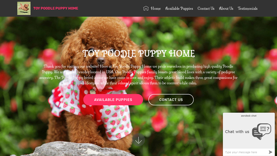 Fancypoodlepups.com - Poodle Puppy Scam Review