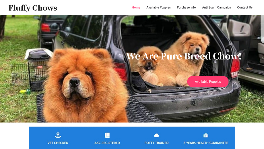 Fluffychows.com - Chowchow Puppy Scam Review