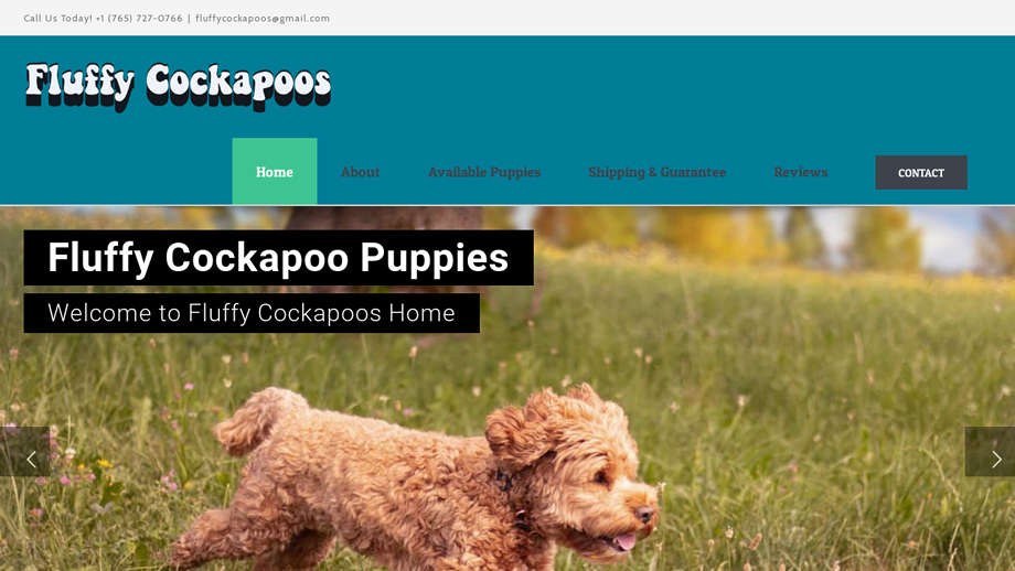 Fluffycockapoos.com - Cockapoo Puppy Scam Review