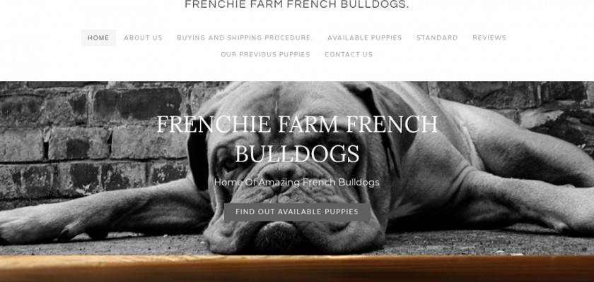 Frenchibulldogs.com - French Bulldog Puppy Scam Review