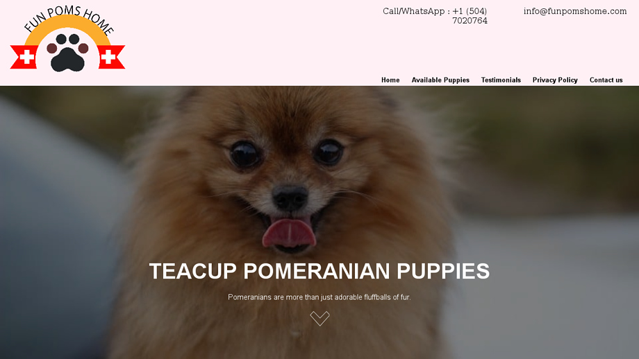 Funpomshome.com - Pomeranian Puppy Scam Review