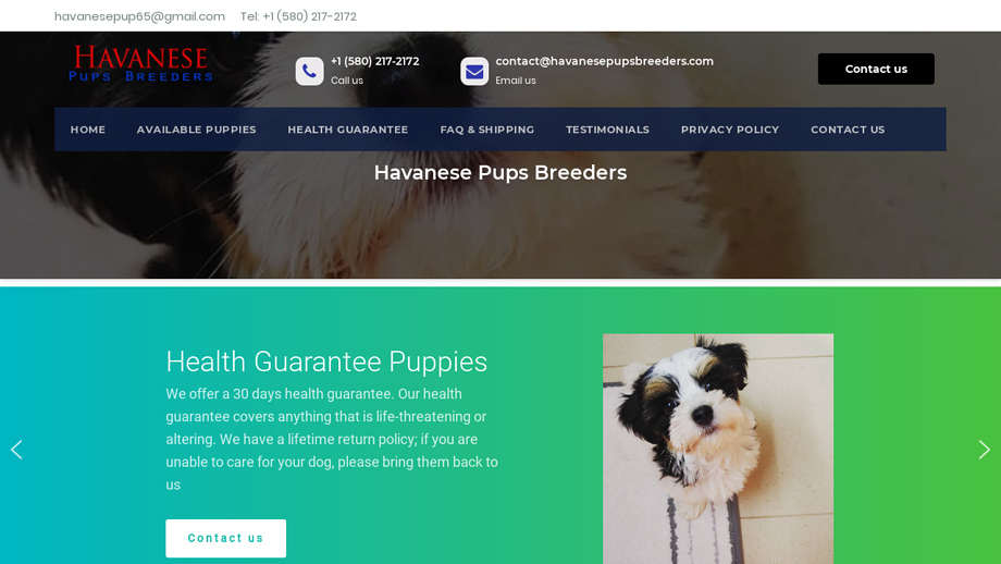 Havanesepupsbreeders.com - Havanese Puppy Scam Review