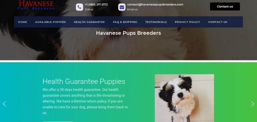 Havanesepupsbreeders.com - Havanese Puppy Scam Review