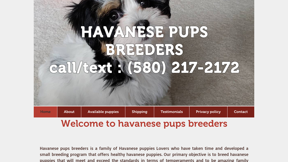 Havanesepupsbreeders.net - Havanese Puppy Scam Review