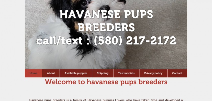 Havanesepupsbreeders.net - Havanese Puppy Scam Review