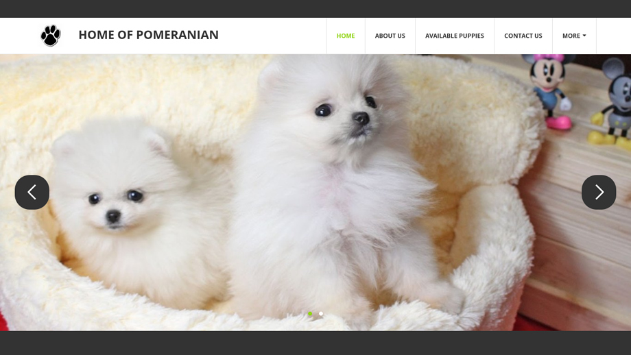 Homeofpomeranianpups.com - Pomeranian Puppy Scam Review