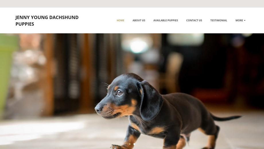 Jennyyoungdachshundpuppies.com - Dachshund Puppy Scam Review