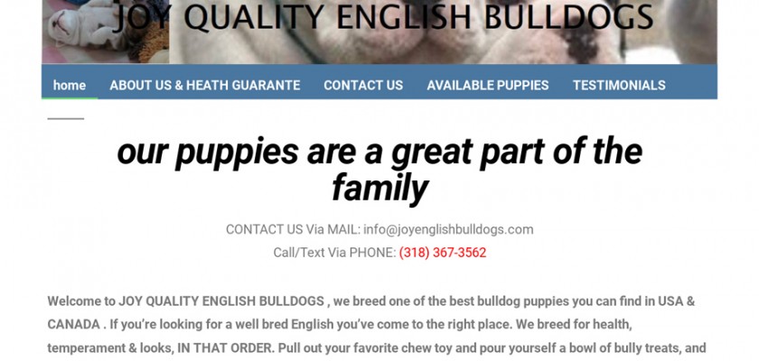 Joyenglishbulldogs.com - English Bulldog Puppy Scam Review