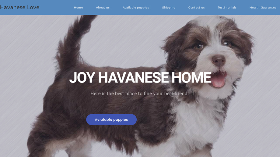 Joyhavanesehome.com - Havanese Puppy Scam Review